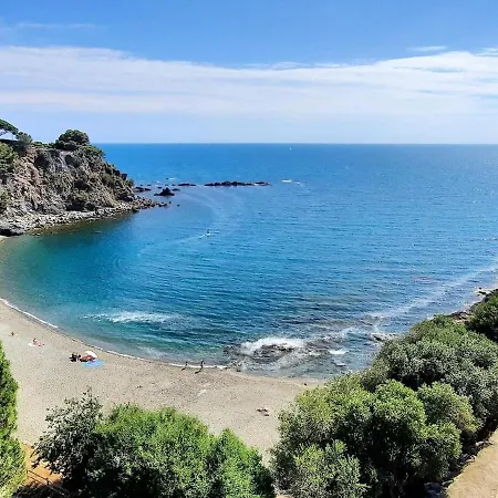 Magnifico En Con Terraza, Se Aceptan Mascotas Y Aparcamiento - Es-170-5 Apartment *