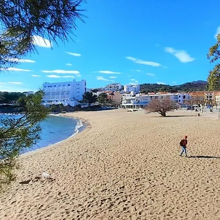 Apartment Magnifico En Con Terraza, Se Aceptan Mascotas Y Aparcamiento - Es-170-5 Llanca